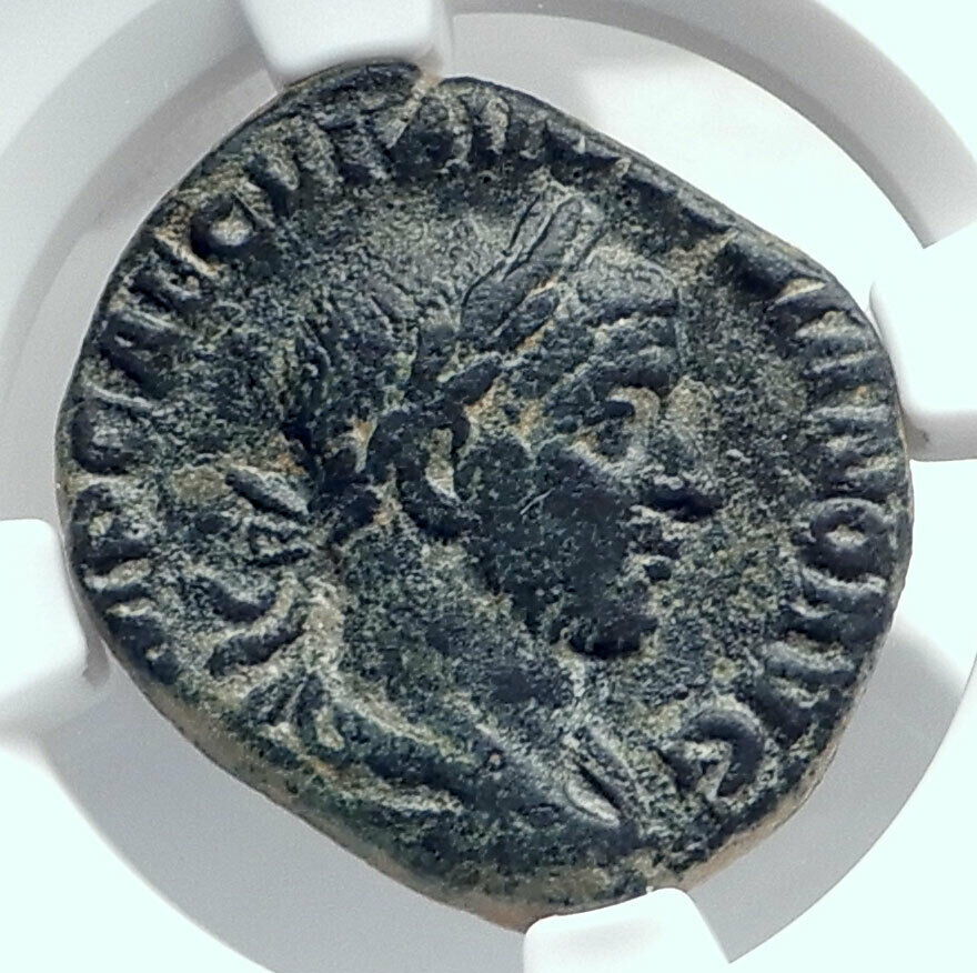 VOLUSIAN Authentic Ancient 251AD SESTERTIUS Rare Roman Coin CONCORDIA NGC i81419