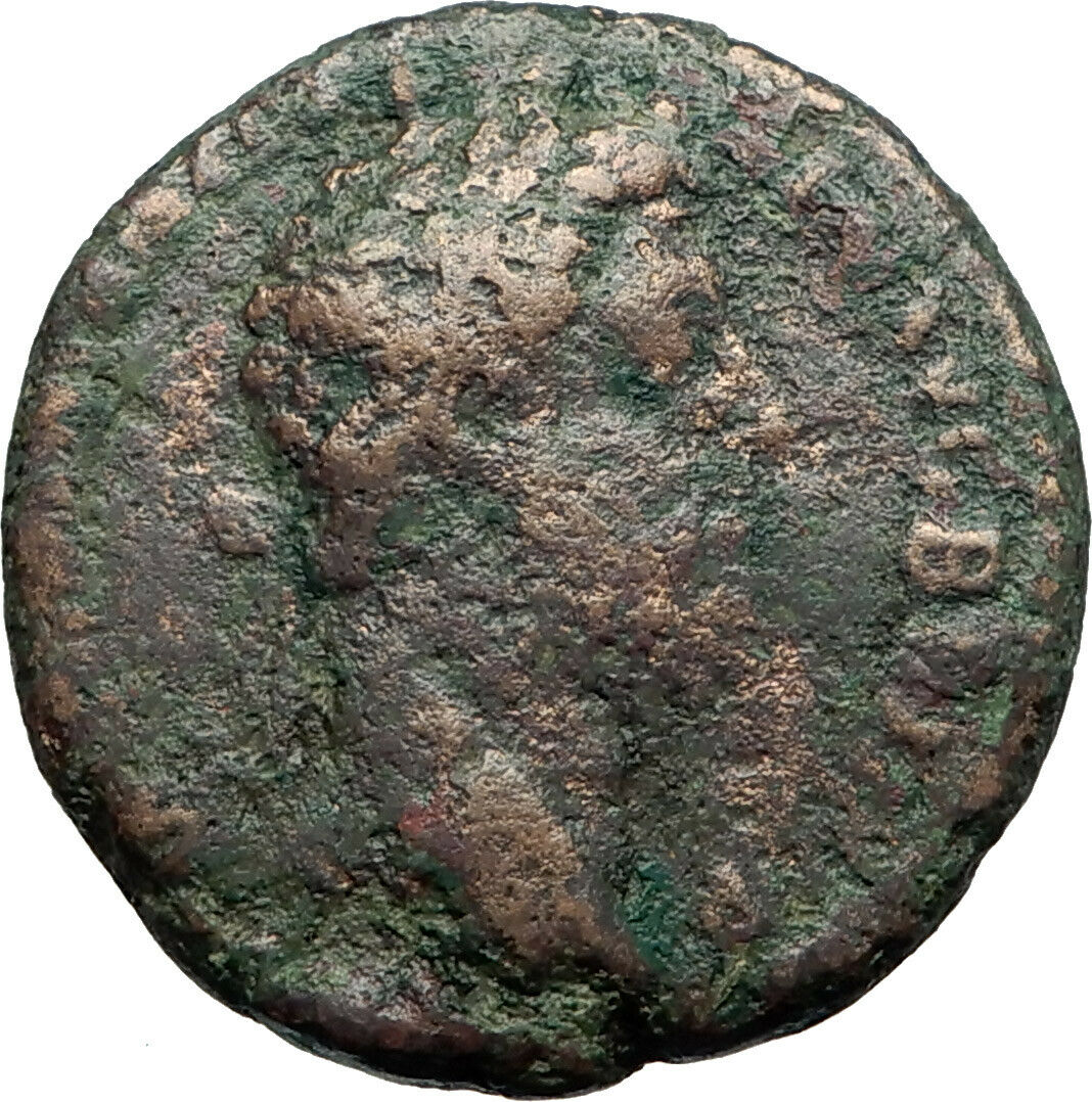 COMMODUS son of Marcus Aurelius as priest w oxen Ancient Big Roman Coin i42979