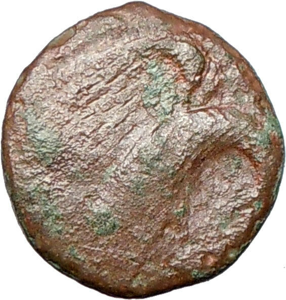 AKRAGAS Sicily 425BC Hexas Rare Two Fish Ancient Greek Coin w EAGLE i26179