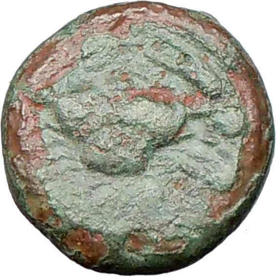 AKRAGAS Sicily 425BC Hexas Rare Two Fish Ancient Greek Coin w EAGLE i26179