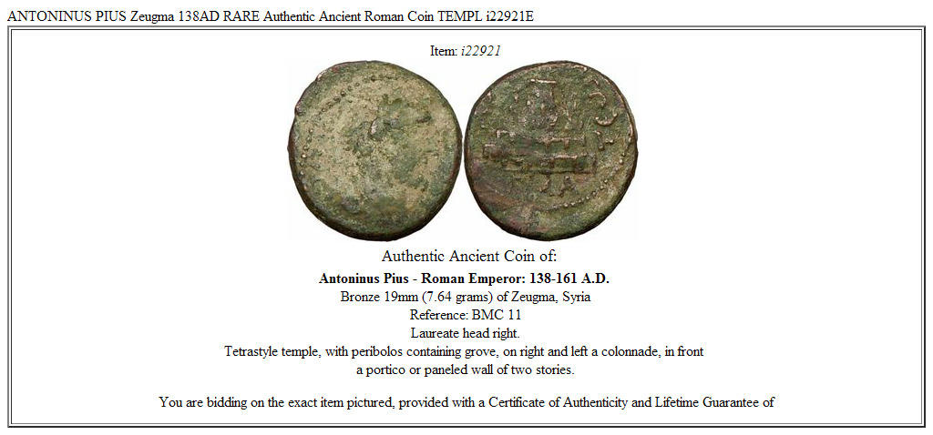 ANTONINUS PIUS Zeugma 138AD RARE Authentic Ancient Roman Coin TEMPL i22921E