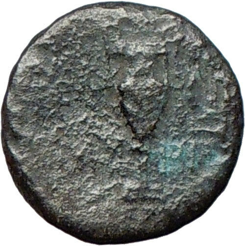 MYRINA Asia Minor 200BC Rare Ancient Greek Coin APOLLO Amphora i27734