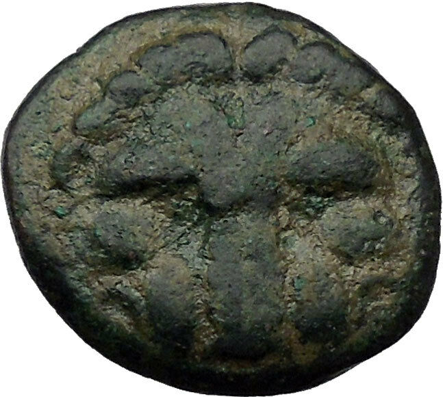 Rhegion in Bruttium (Italy) 351BC Ancient Greek Coin Lion facing Apollo i31217