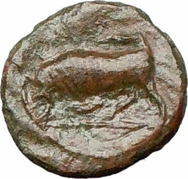 SYRACUSE Sicily Agathocles Underworld queen KORE BULL Ancient Greek Coin i25811