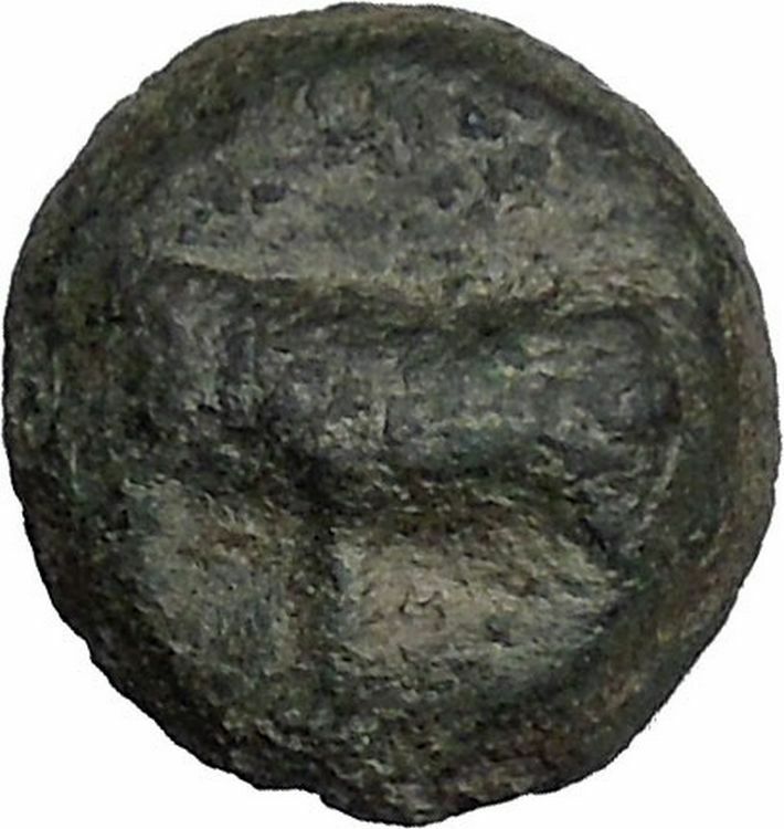 PANORMOS in SICILY 412BC Man-Headed Bull & Boar RARE Ancient Greek Coin i44173