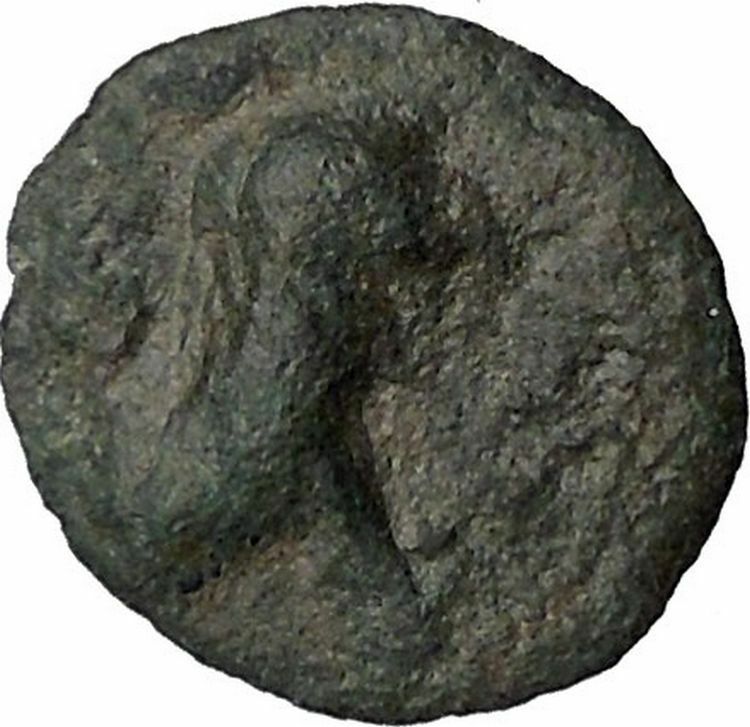 PANORMOS in SICILY 412BC Man-Headed Bull & Boar RARE Ancient Greek Coin i44173