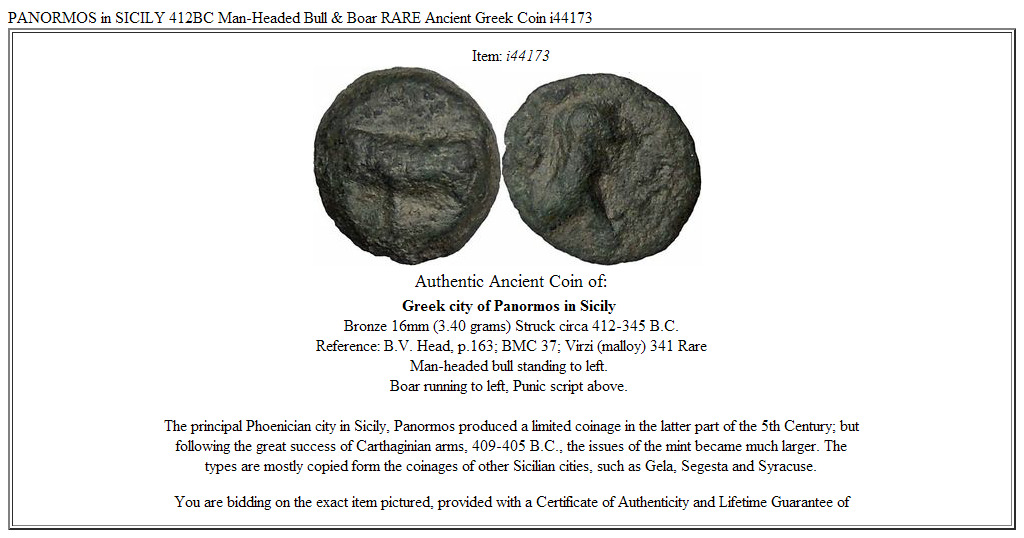 PANORMOS in SICILY 412BC Man-Headed Bull & Boar RARE Ancient Greek Coin i44173