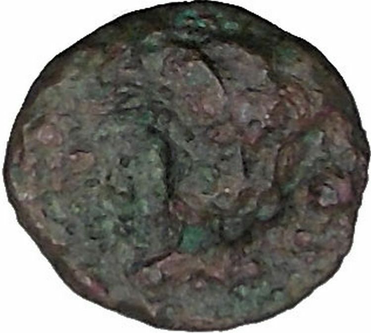 Rhodes, Islands off Caria 394BC RARE Ancient Greek Coin Nymph Rose i44874