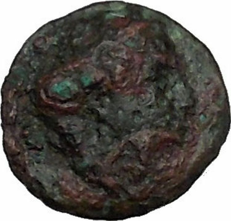 Rhodes, Islands off Caria 394BC RARE Ancient Greek Coin Nymph Rose i44874