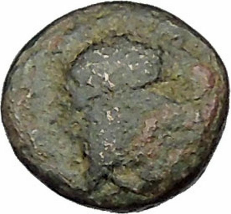 Elaia in Asia Minor 4th-3rdCentBC Ancient Greek Coin Athena Corn-grain i46040