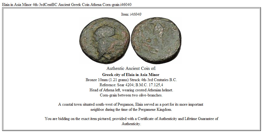 Elaia in Asia Minor 4th-3rdCentBC Ancient Greek Coin Athena Corn-grain i46040