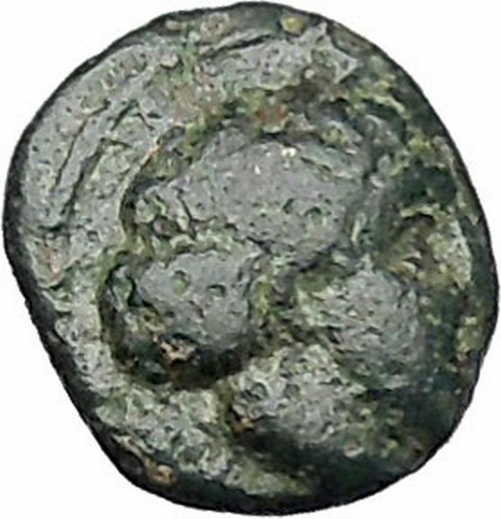 Lampsakos in Mysia 400BC Rare Ancient Greek Coin Female head Pegasus i47262