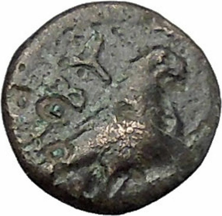 ABYDOS in TROAS 300BC Ancient Greek Coin APOLLO Cult Eagle wings closed i48158