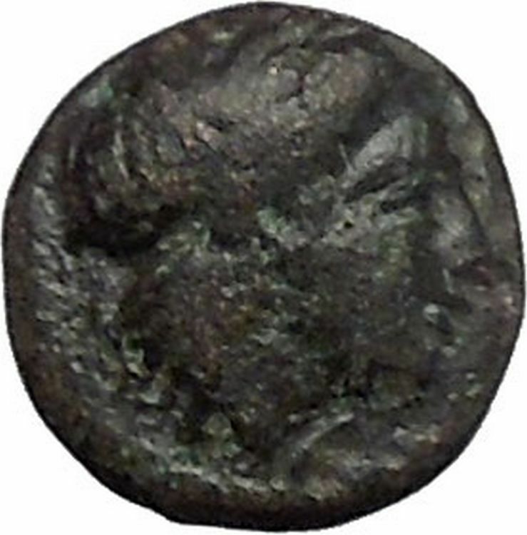 ABYDOS in TROAS 300BC Ancient Greek Coin APOLLO Cult Eagle wings closed i48158