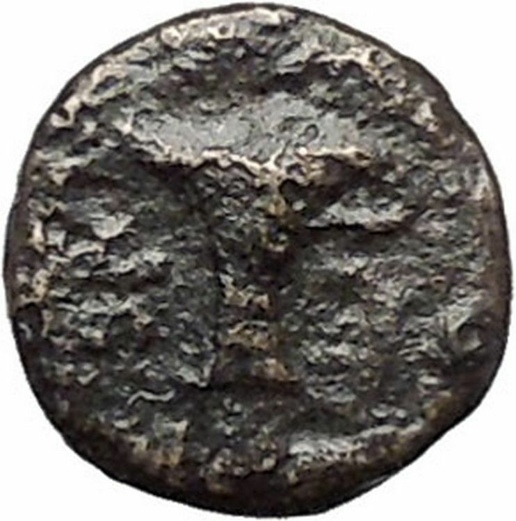 Kyme in Aeolis 350BC EAGLE & VASE on Authentic Ancient Greek Coin i48603