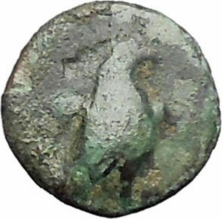 Kyme in Aeolis 350BC EAGLE & VASE on Authentic Ancient Greek Coin i48604