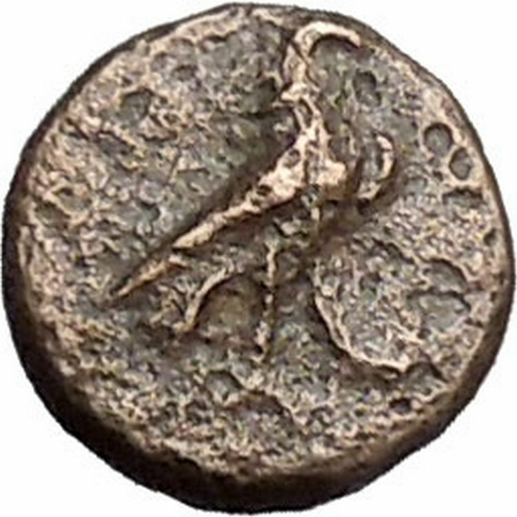 Kyme in Aeolis 350BC EAGLE & VASE on Authentic Ancient Greek Coin i48581