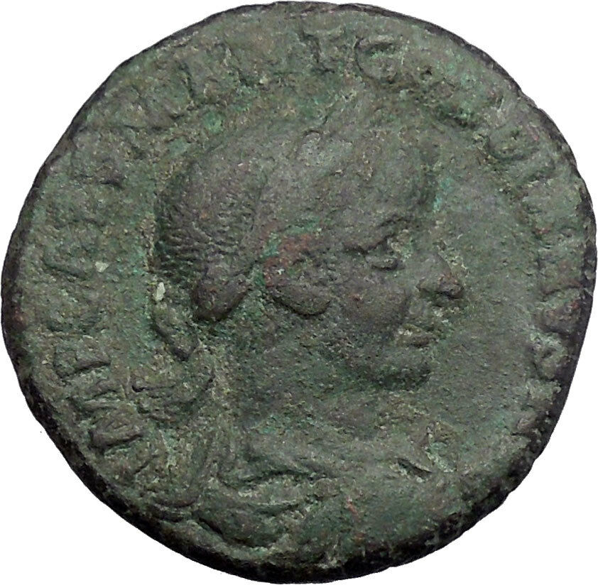 GORDIAN III Viminacium 240AD Bull Lion Legion RARE Ancient Roman Coin i48641