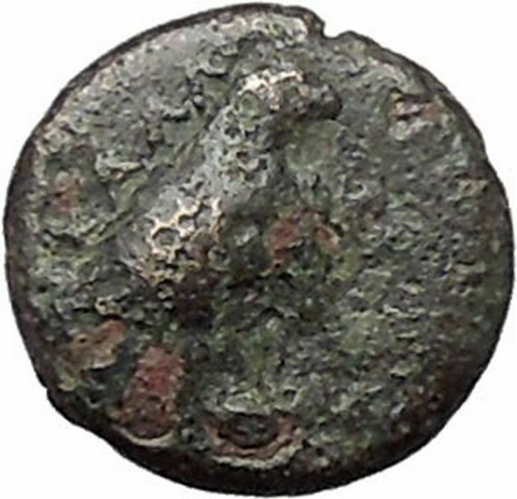 Kyme in Aeolis 350BC EAGLE & VASE on Authentic Ancient Greek Coin i48582