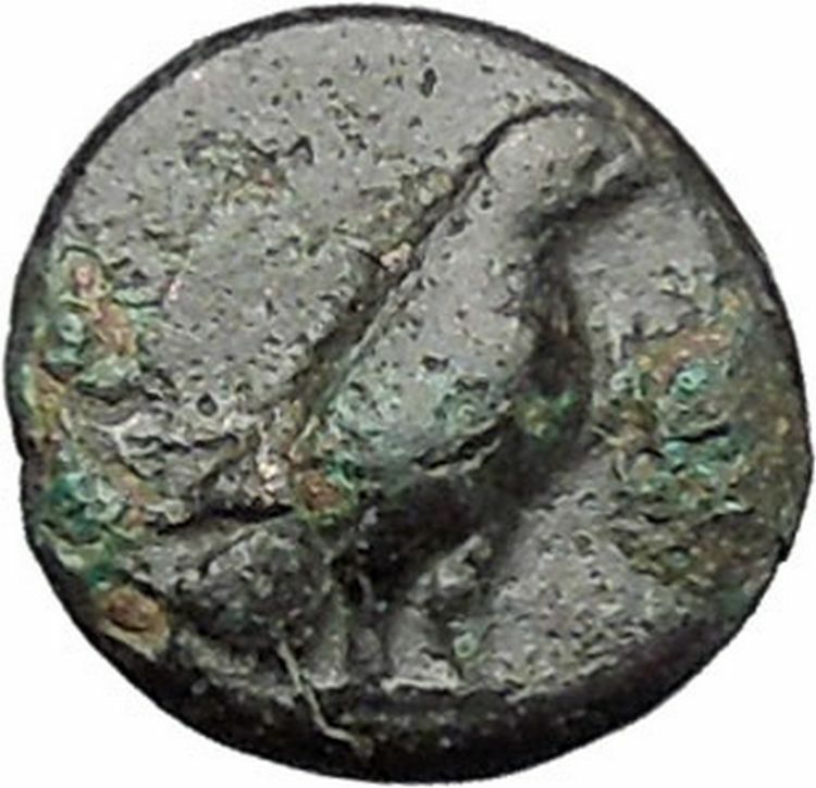 Kyme in Aeolis 350BC EAGLE & VASE on Authentic Ancient Greek Coin i48596