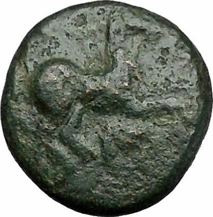 Maroneia in Thrace 400BC Original Ancient Greek Coin Horse Vine Grapes i48969