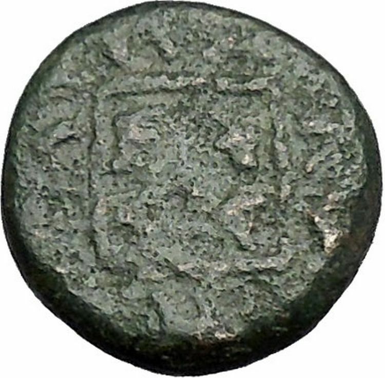 Maroneia in Thrace 400BC Original Ancient Greek Coin Horse Vine Grapes i48969