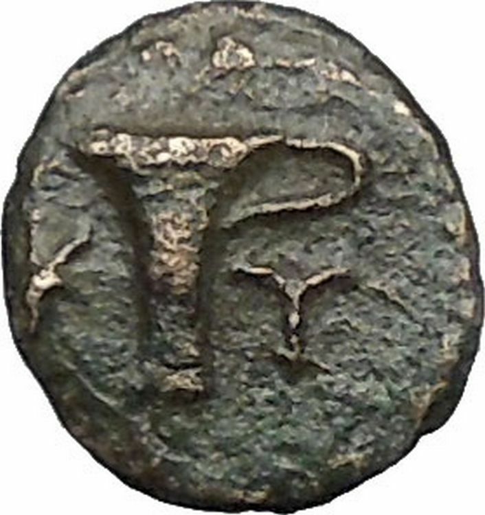 KYME in AEOLIS 350BC Eagle Vase Genuine Authentic Ancient Greek Coin i49708