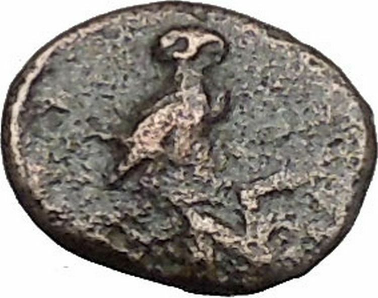 Neonteichos in Aeolis 200BC Ancient Greek Coin Athena Minerva Magic OWL i49656