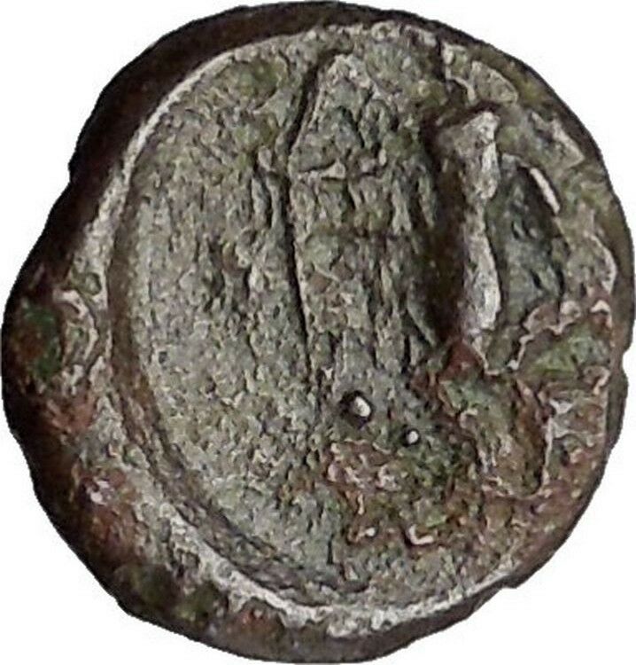 Himera in Sicily 420BC Rare Ancient Greek Coin Pan riding goat Nike Cult i49712