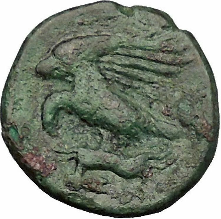 AKRAGAS in SICILY 338BC Zeus Rabbit Hare Authentic Ancient Greek Coin i51582