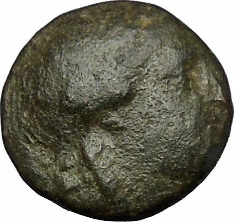 Antiochos II Theos 280BC Seleukid Kindom RARE Ancient Greek Coin Apollo i51876