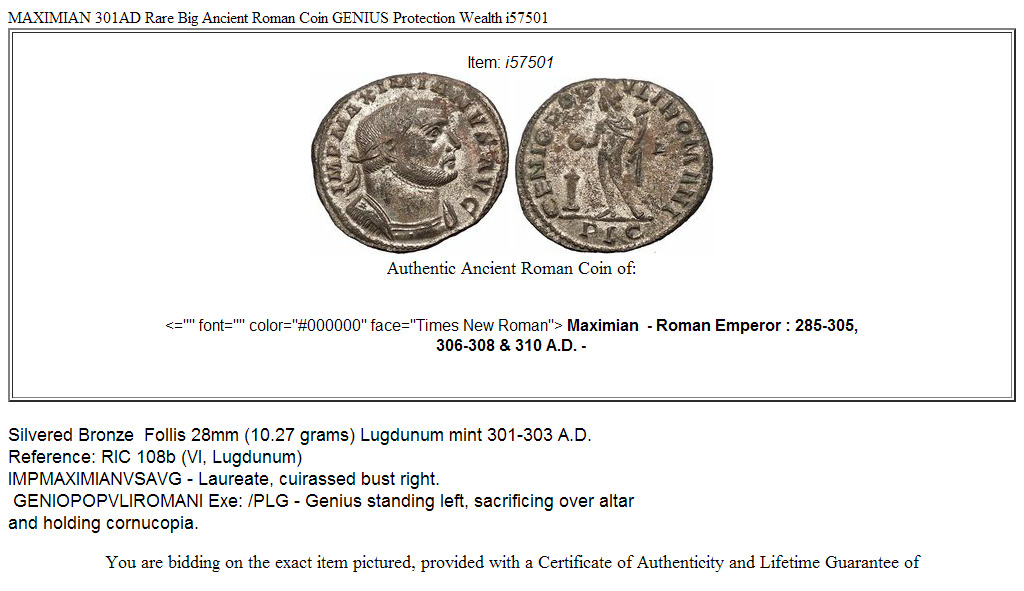 MAXIMIAN 301AD Rare Big Ancient Roman Coin GENIUS Protection Wealth i57501