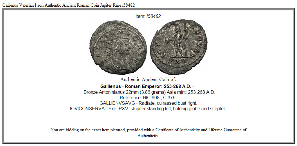 Gallienus Valerian I son Authentic Ancient Roman Coin Jupiter Rare i58482