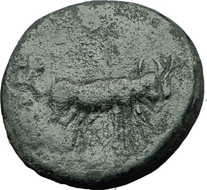 AUGUSTUS 27BC Philippi Macedonia PRIESTS Founding City Oxen Roman Coin i59335