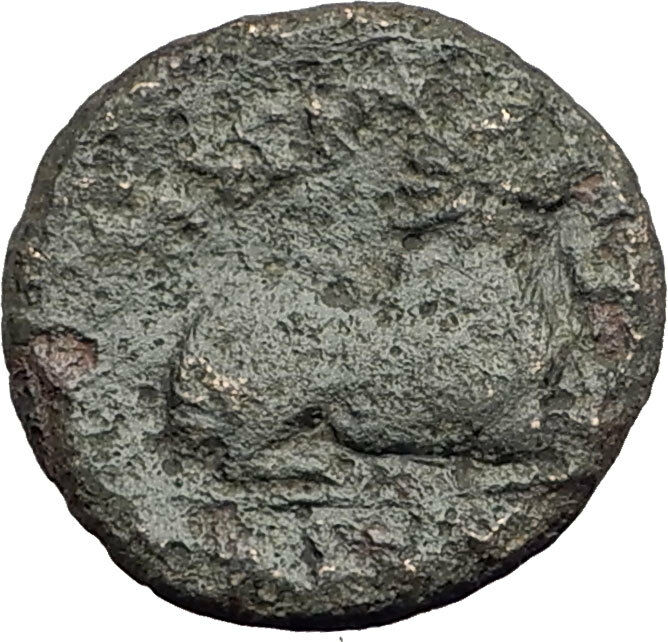 KASSANDER 316BC Pella Macedonia HERCULES LION Original Ancient Greek Coin i62603