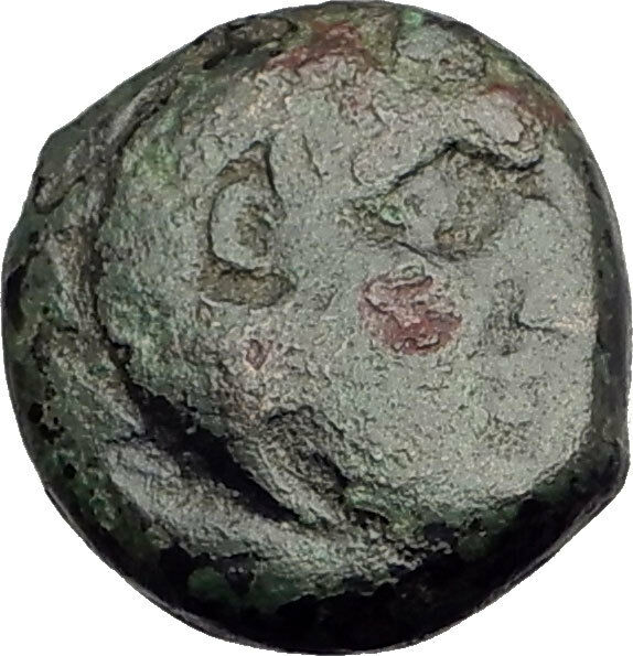 PHILIP V 220BC Macedonia RARE Genuine Ancient Greek Coin HERCULES & HORSE i62445