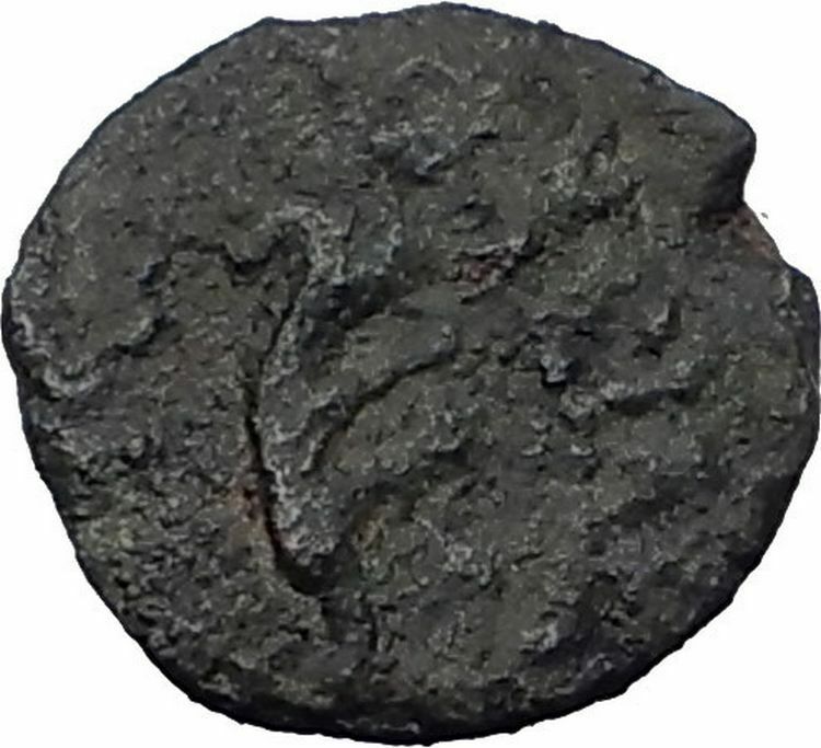 ANTIOCHOS VII Sidetes RARE R1 Ascalon Ancient ISRAEL Seleukid Greek Coin i64139