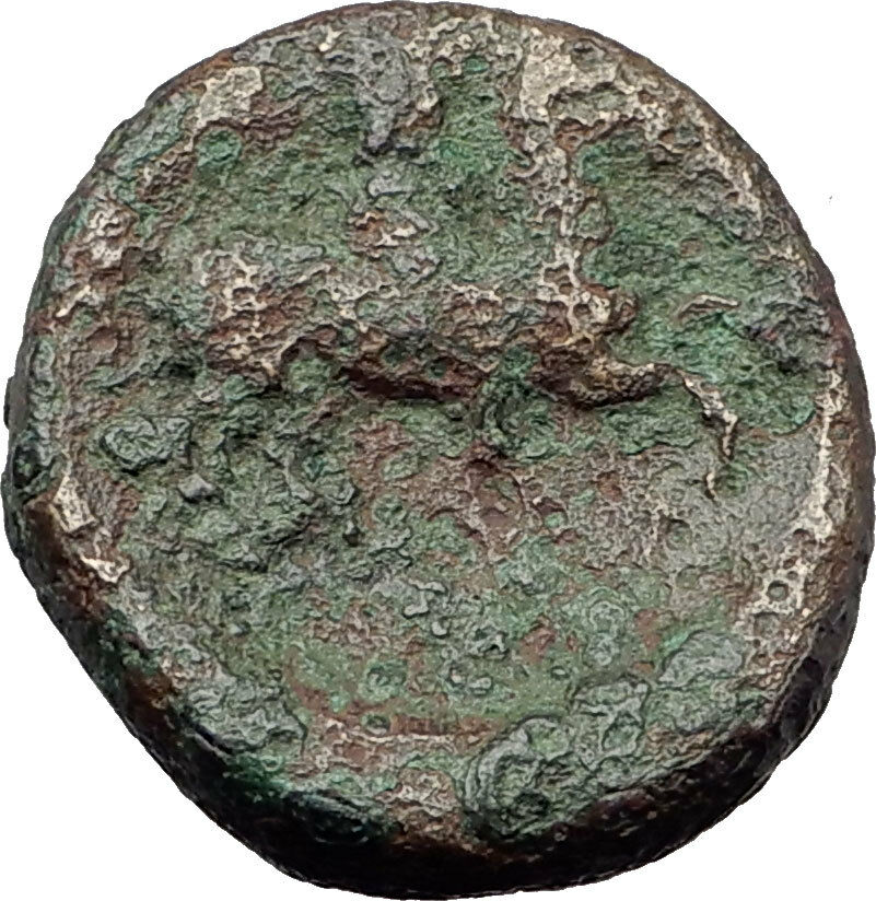 PHARSALOS in THESSALY 300BC Authentic Ancient Greek Coin ATHENA HORSEMAN i63797