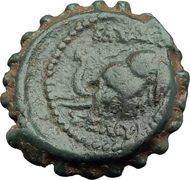 SELEUKOS IV Philopater 187BC Seleukid Ancient Greek Coin QUEEN LAODIKE IV i63589