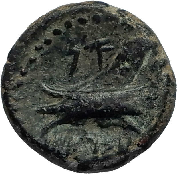 ARADOS in PHOENICIA Authentic Ancient 206BC Greek Coin w ZEUS & GALLEY i67241