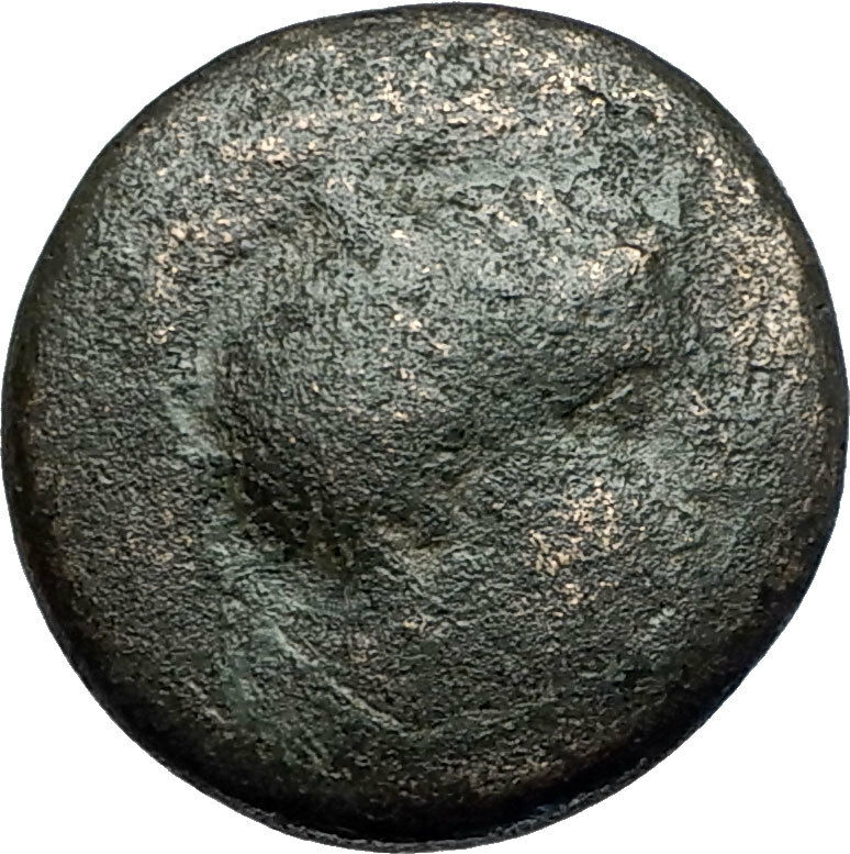 PELLA in MACEDONIA 146BC ROMAN Quaestor Ancient Greek Coin ATHENA & BULL i67856