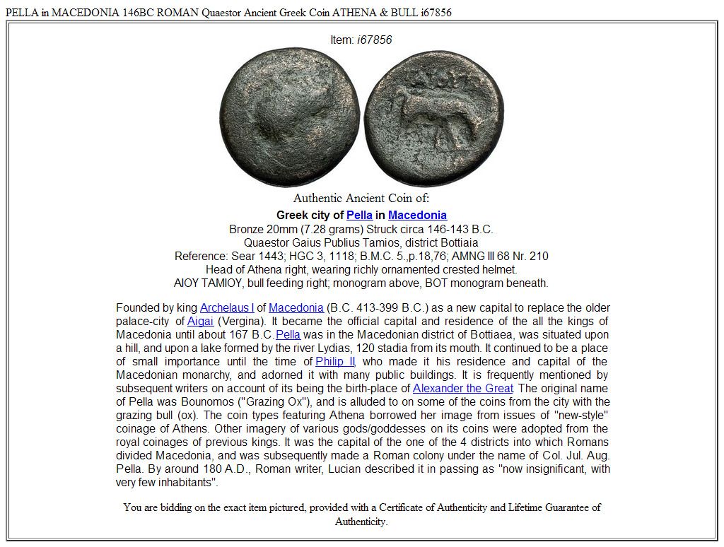 PELLA in MACEDONIA 146BC ROMAN Quaestor Ancient Greek Coin ATHENA & BULL i67856
