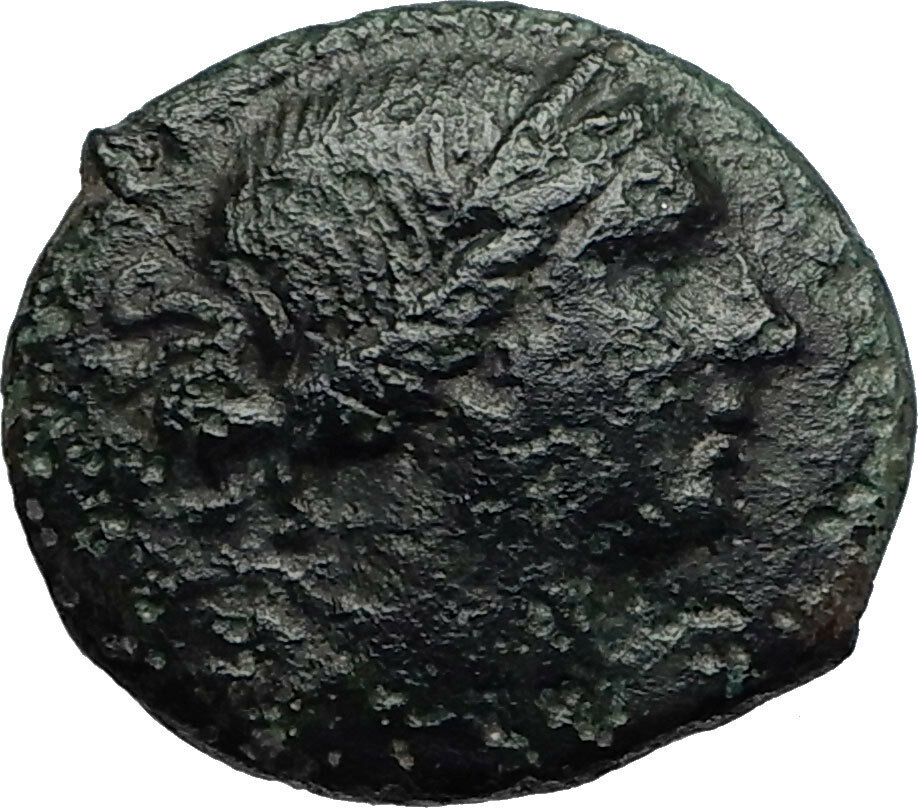 RHEGION in BRUTTIUM Authentic Ancient 260BC Greek Coin w ARTEMIS & LYRE i67172