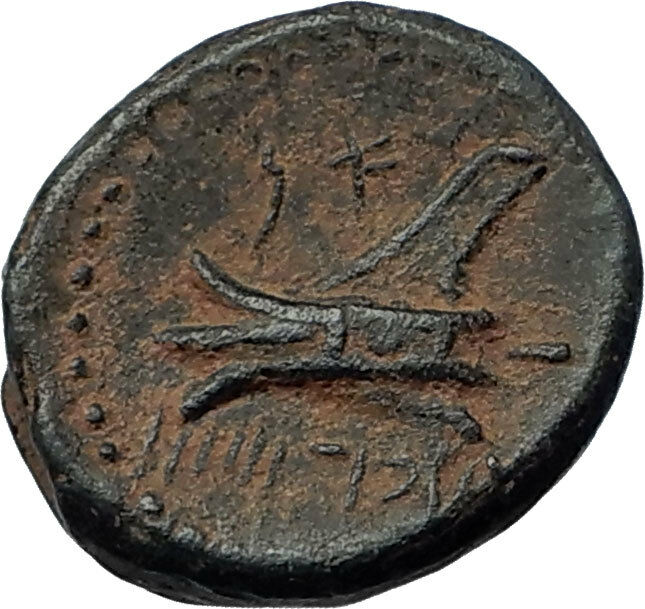 ARADOS in PHOENICIA Authentic Ancient 206BC Greek Coin w ZEUS & GALLEY i67993