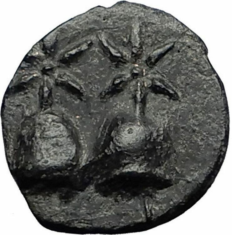 DIOSKOURIAS in KOLCHIS 105BC Mithradates VI Time Greek Coin GEMINI Hats i58412