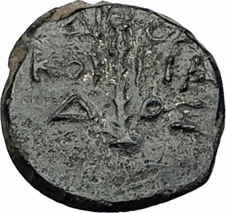 DIOSKOURIAS in KOLCHIS 105BC Mithradates VI Time Greek Coin GEMINI Hats i58412