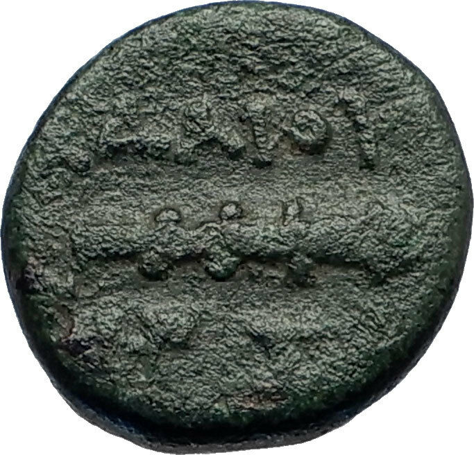 ADAIOS Thrace Scythian King Authentic Ancient 253BC Greek Coin HERCULES i69184