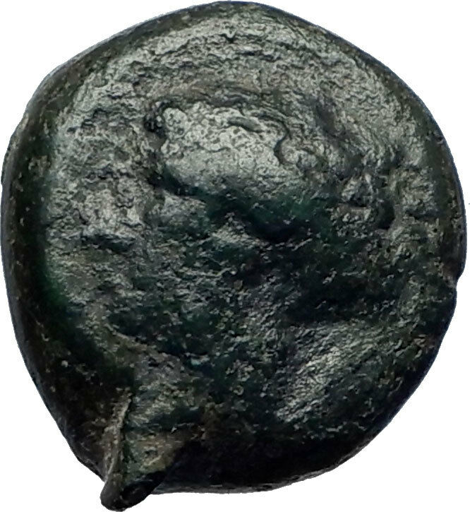 SYRACUSE Sicily 357BC Ancient Greek Coin Nymph Arethusa Quadrapartite i73966