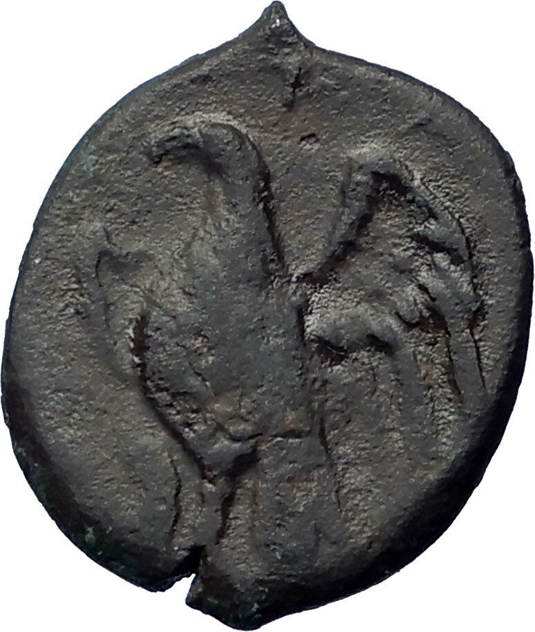 SYRACUSE Sicily 288BC King Hiketas Zeus & Eagle RARE Ancient Greek Coin i73961