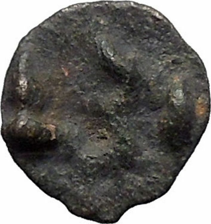 ISTROS Thrace 500BC Wheel Money Authentic Ancient Greek Coin BLACK SEA i48208